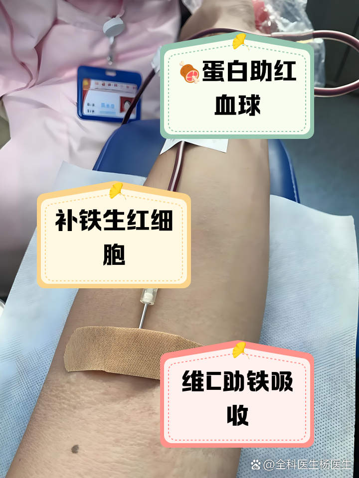 献完血后吃什么补血最快