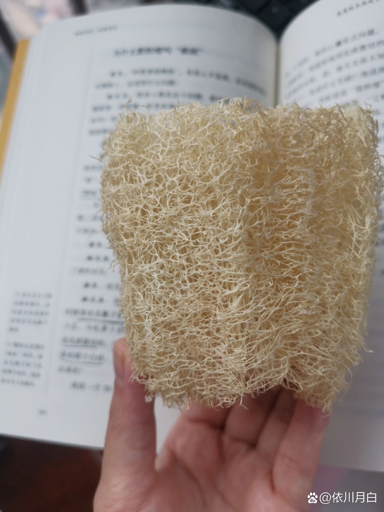 用丝瓜瓤搓澡,还可以调治"痰核脂肪瘤"