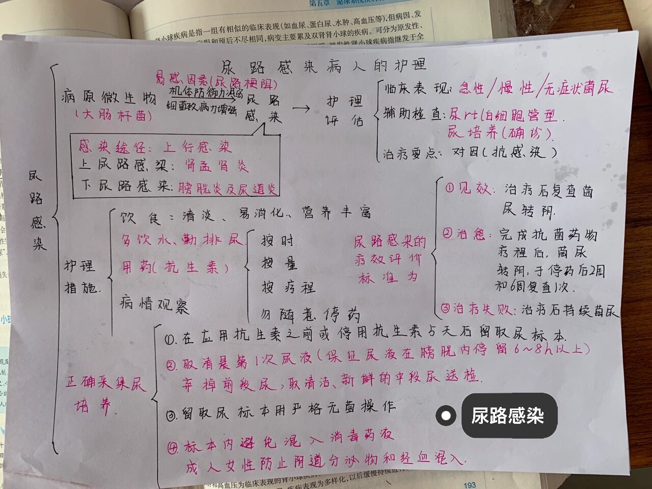 排尿排便评估思维导图图片