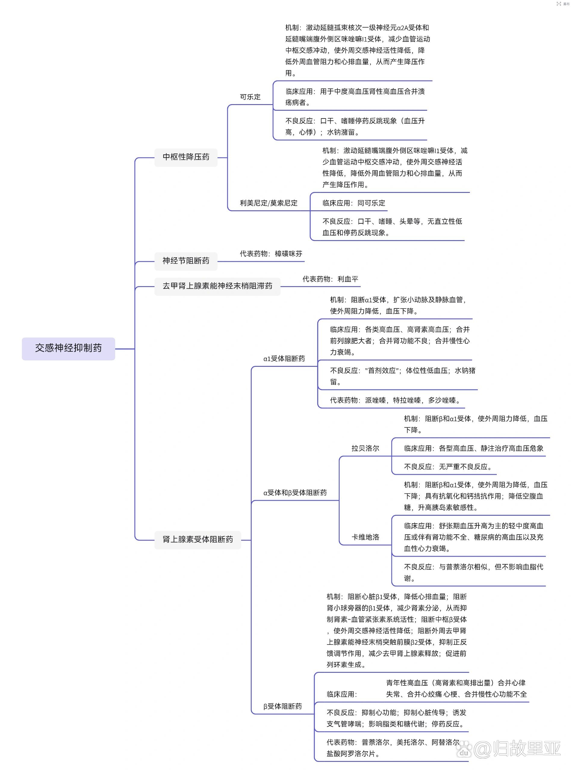 高血压知识点思维导图图片