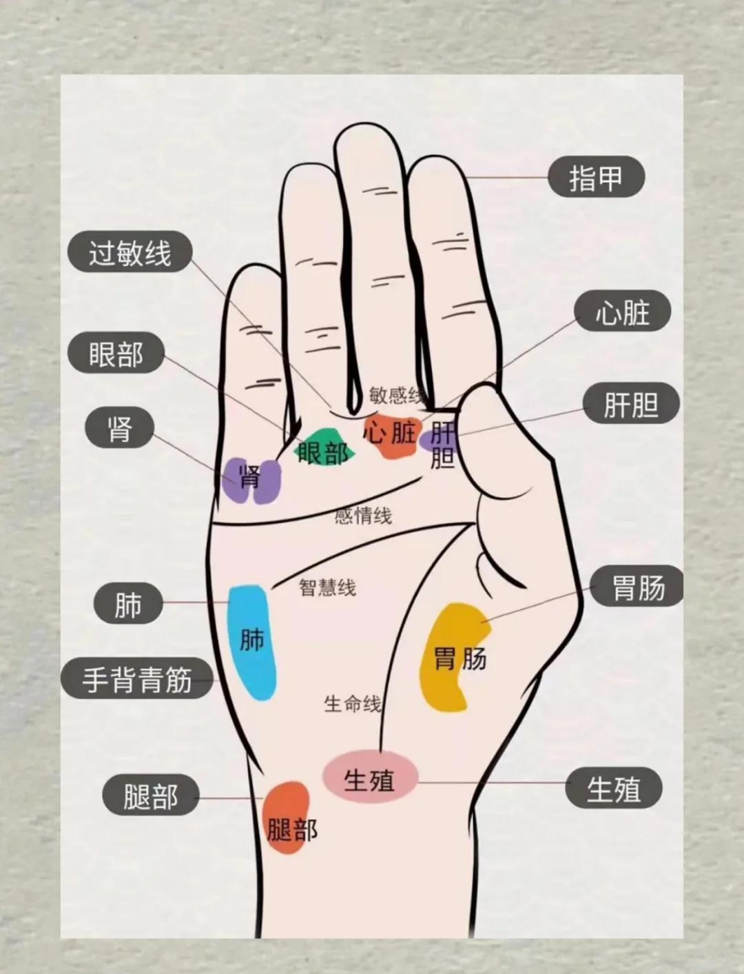 中医手诊：别被忽悠，自己动手测健康