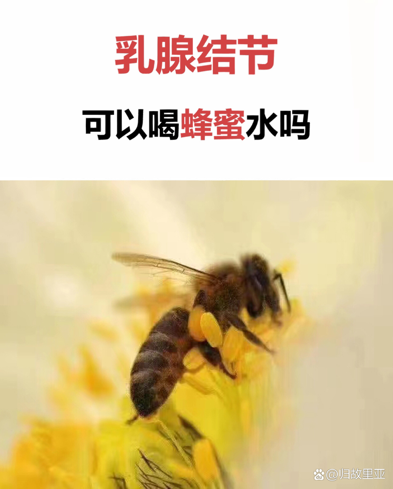 有结节可以吃蜂蜜吗喝蜂蜜水后不饿(有结节可以吃蜂蜜吗喝蜂蜜水后不饿吗)