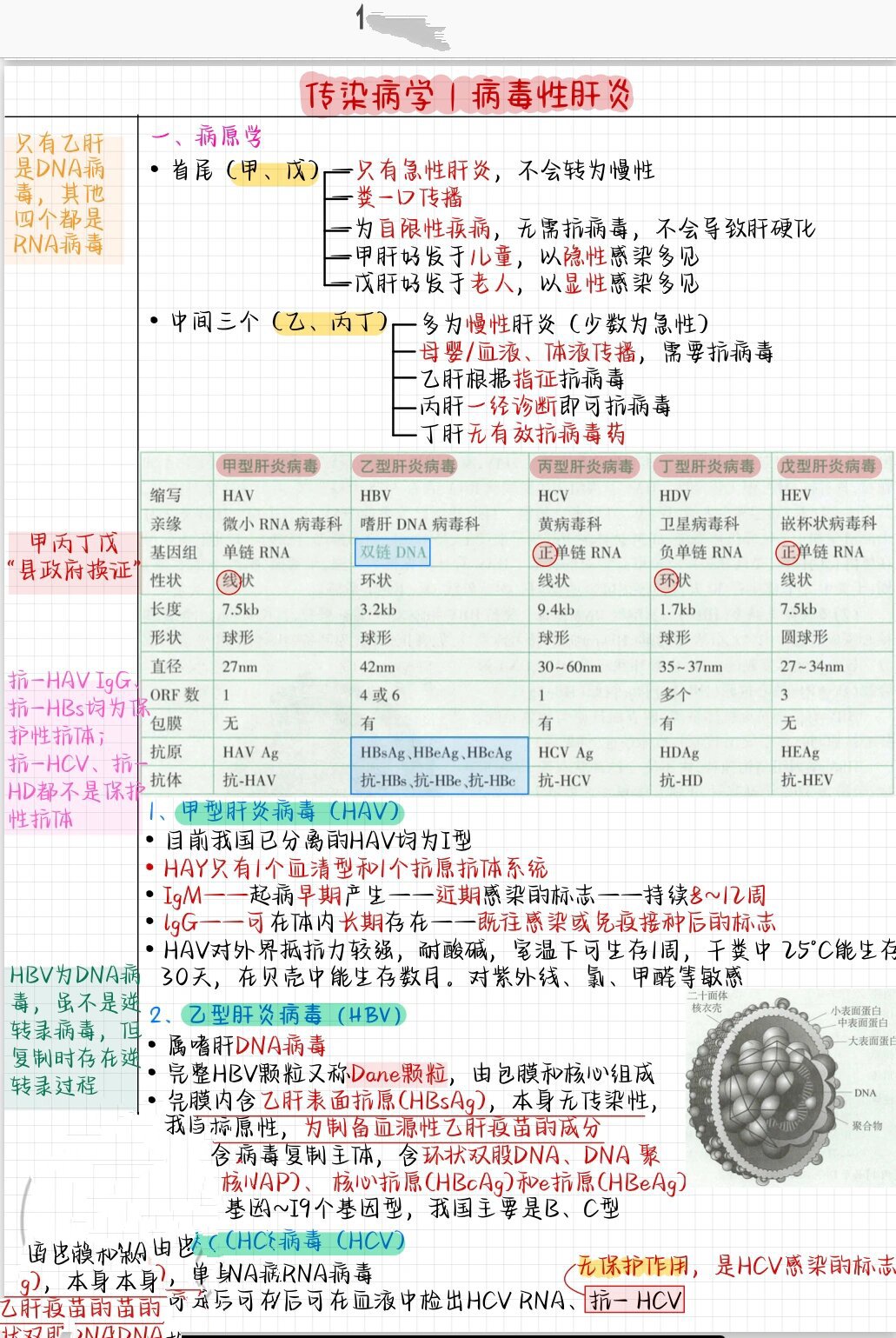  近期病毒叫什么名字来源呢(最近的病毒是什么时候发现的)