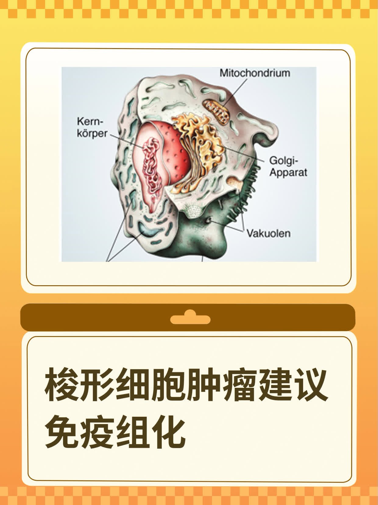 梭形飞船图片