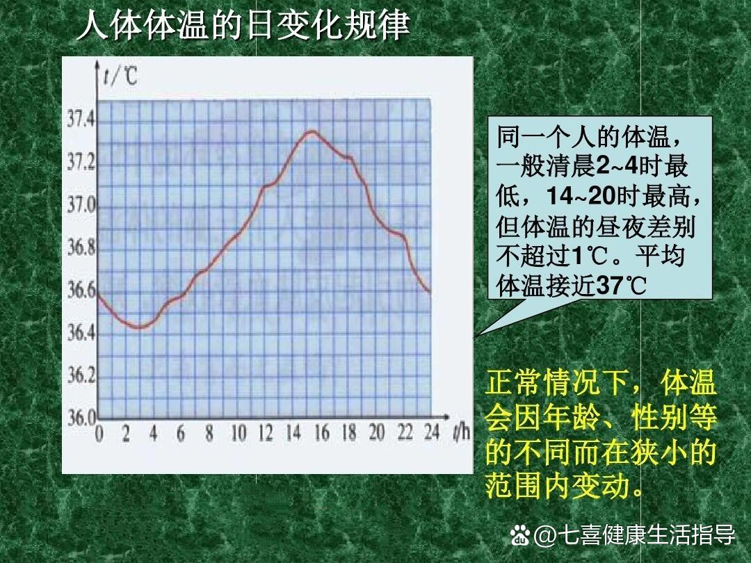 一日体温变化图图片