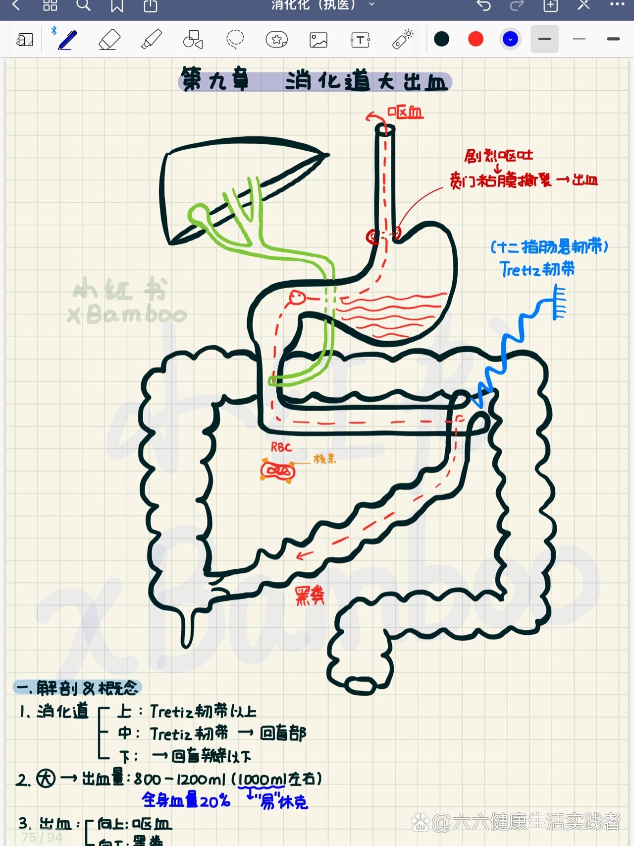 人体消化道出血示意图图片