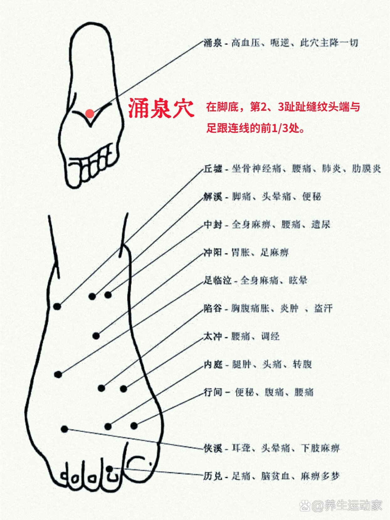 养生穴位——涌泉穴滋阴降火75