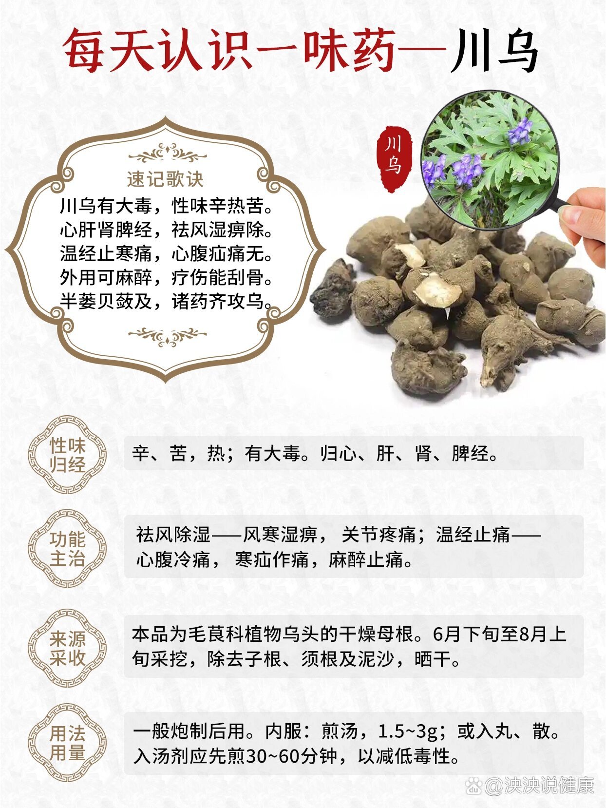 每天认识一味药～川乌