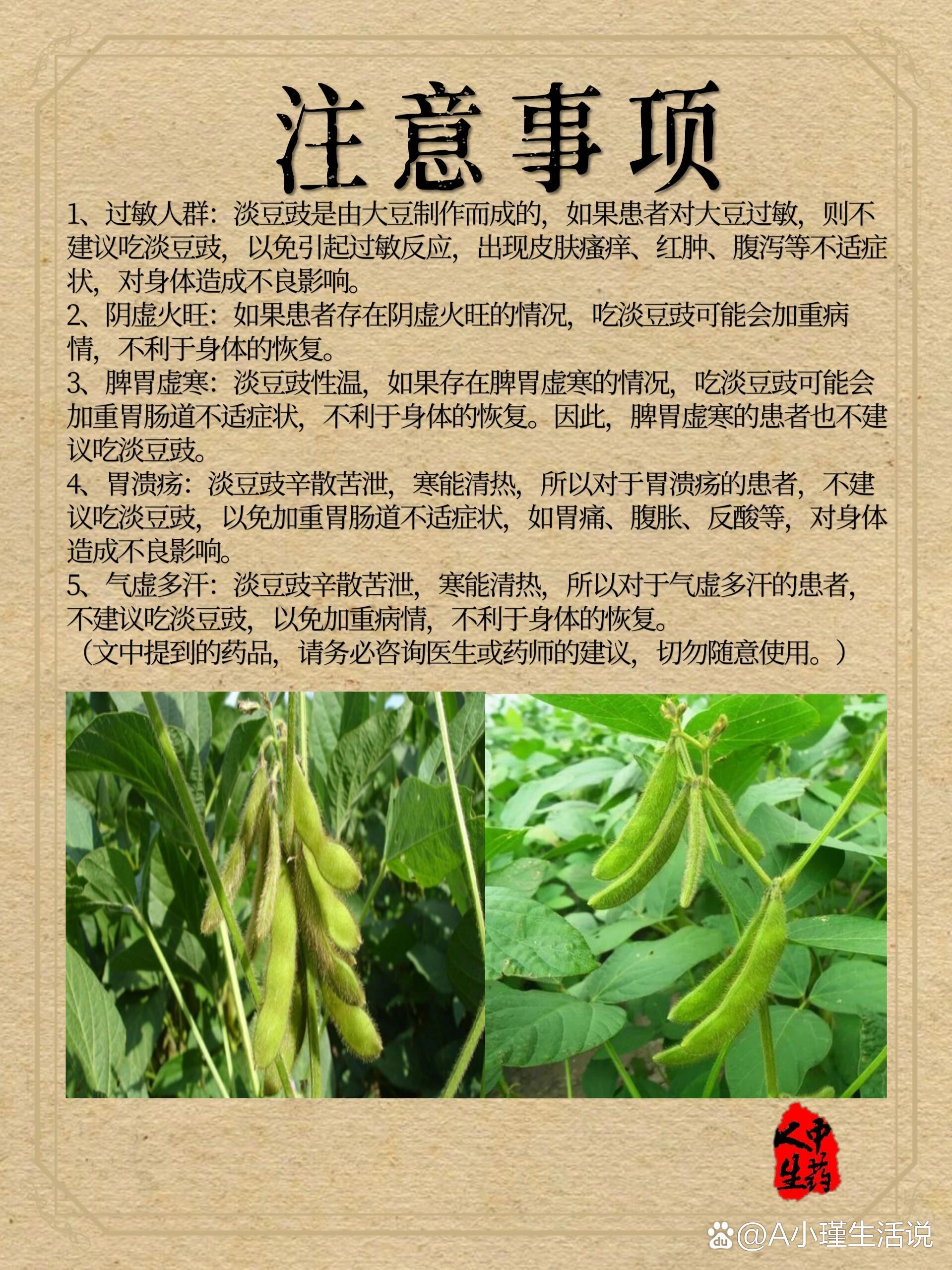 淡豆豉药图片及功效图片