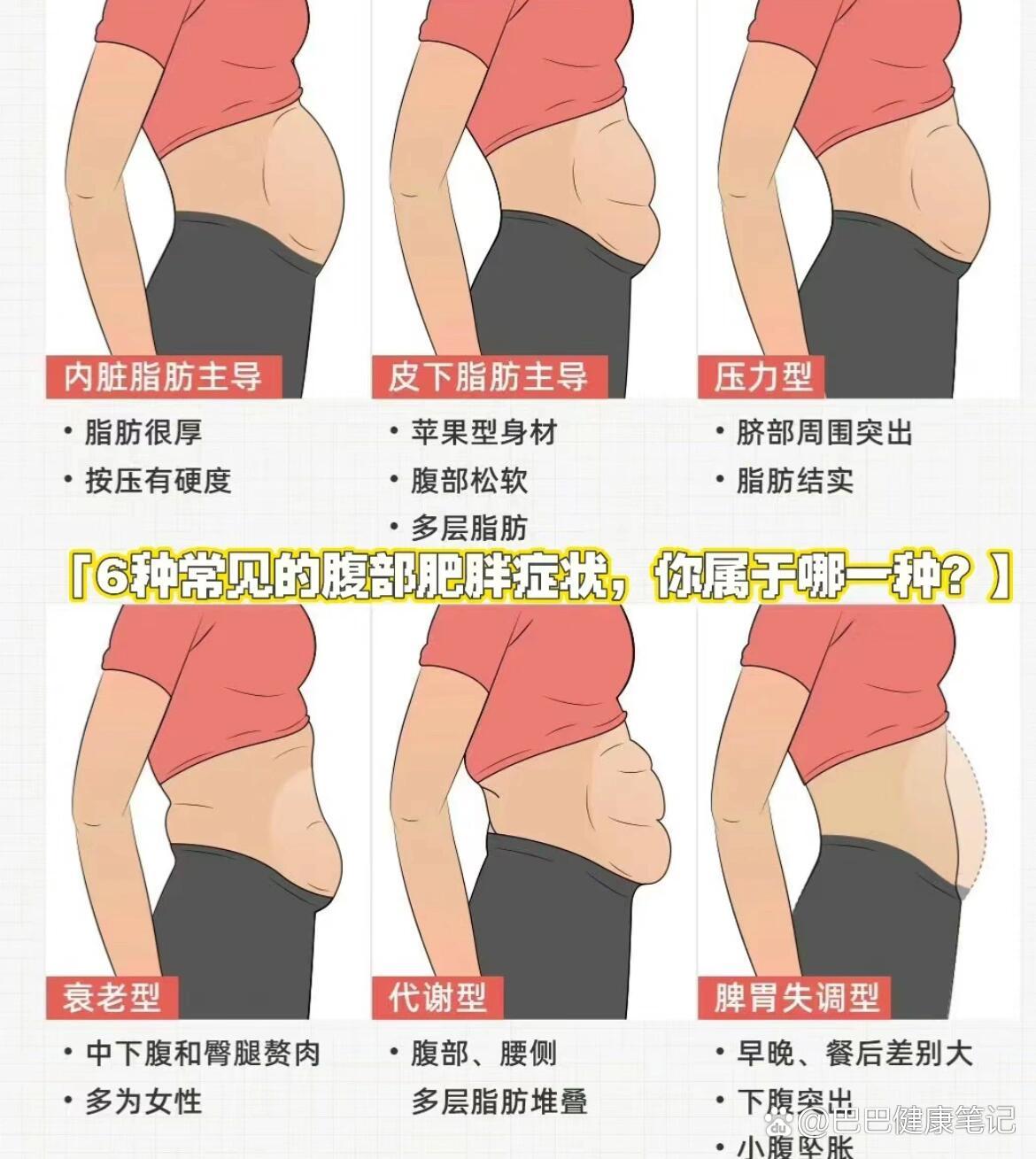 你是哪种大肚腩?
