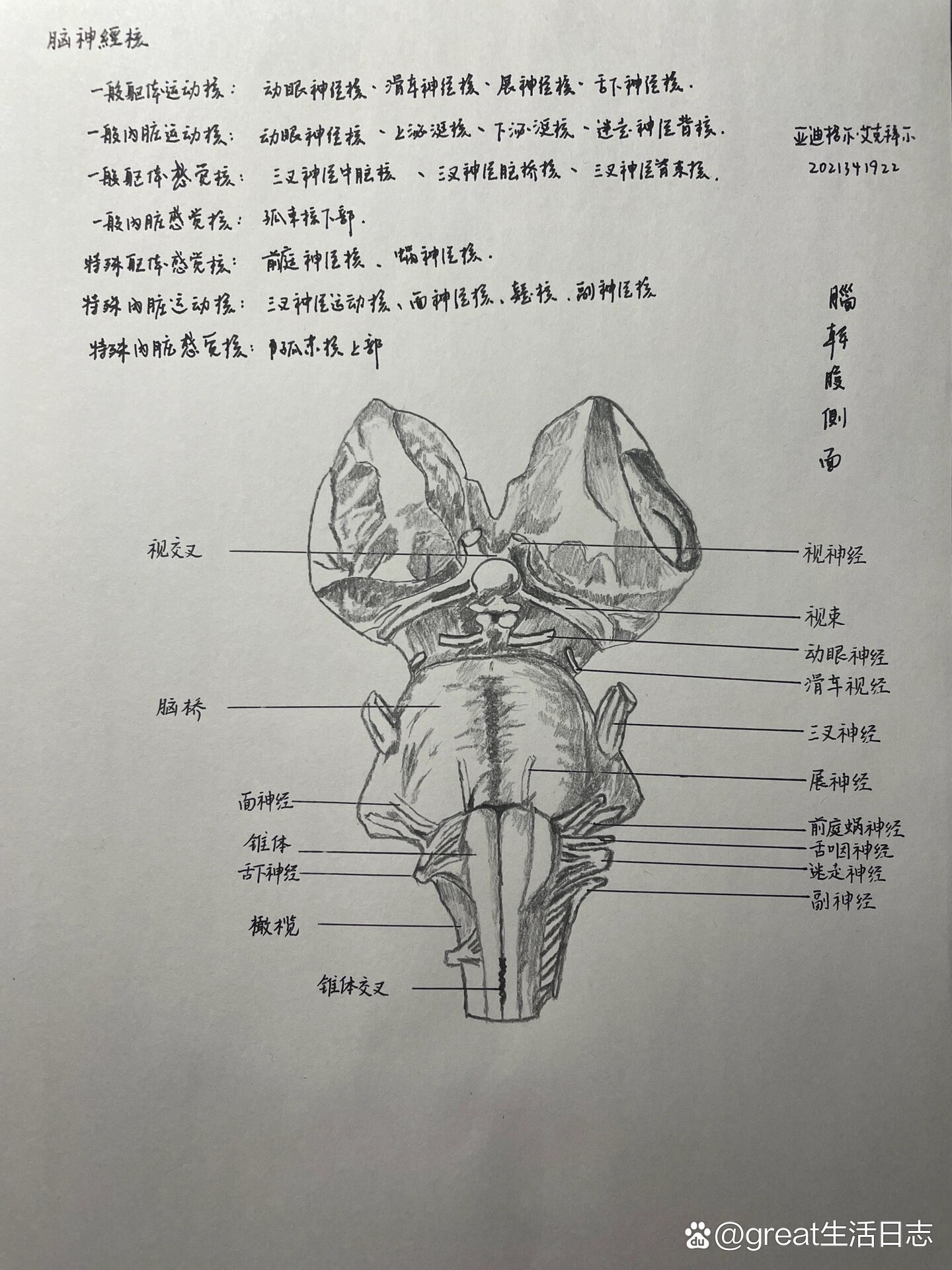 麻了腿也抽筋了  br 感叹如此精细的大脑居然在控制如此废物的我 /p