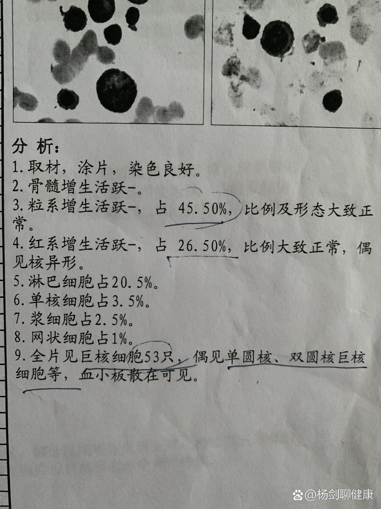 骨穿报告图片