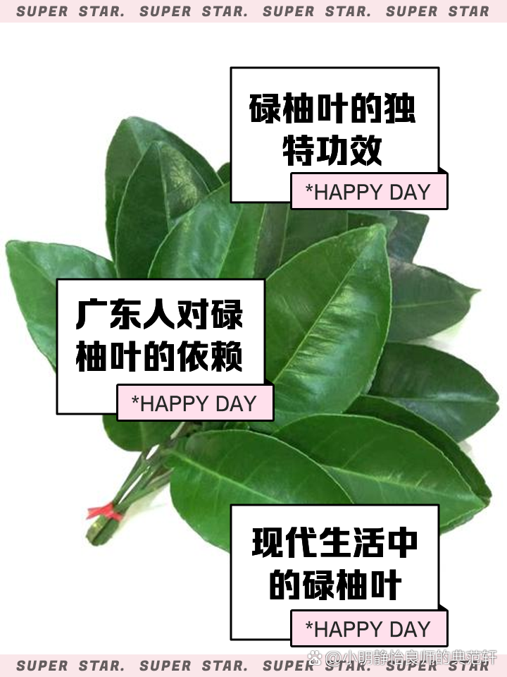 碌柚叶的秘密