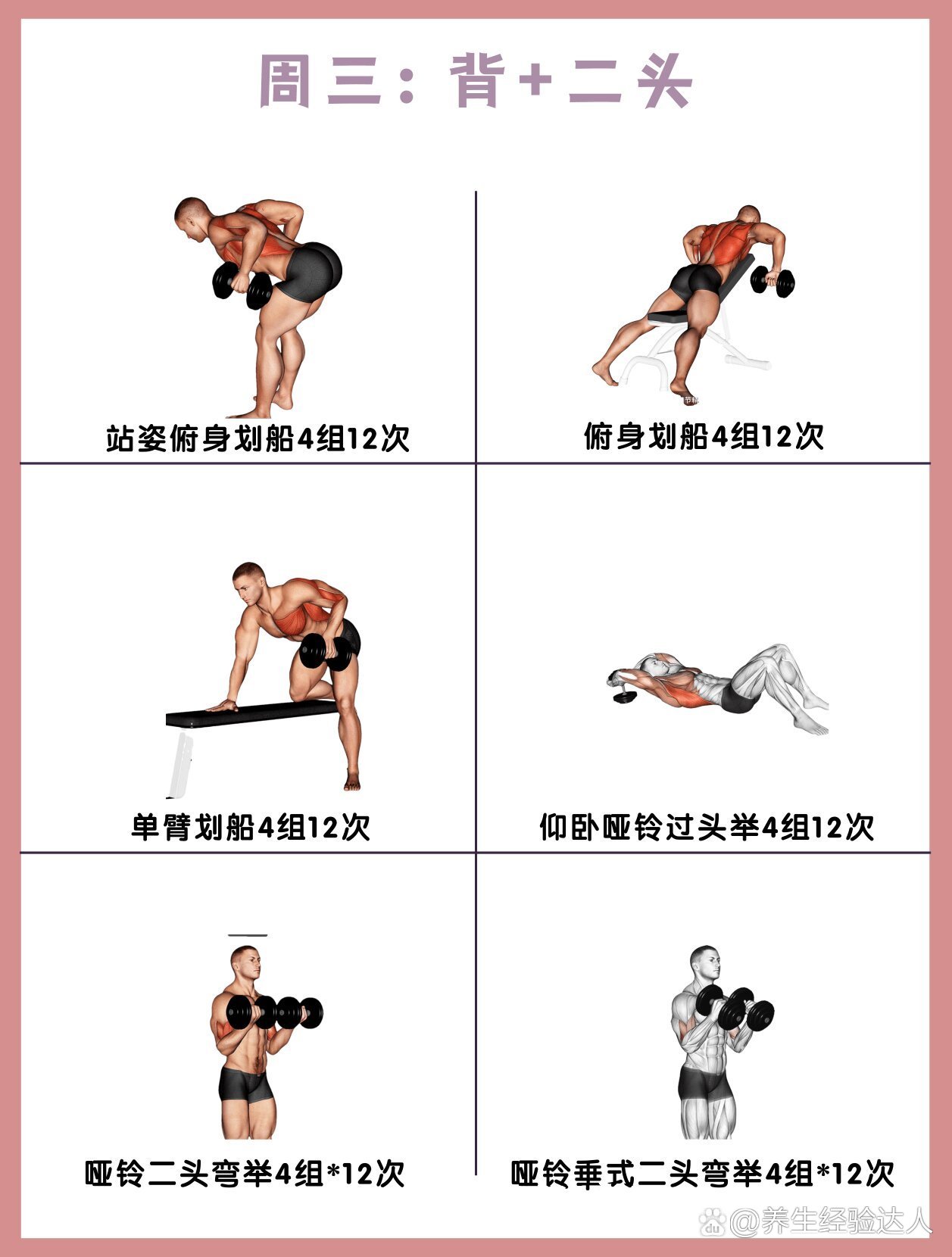 哑铃全身训练计划|一周三练