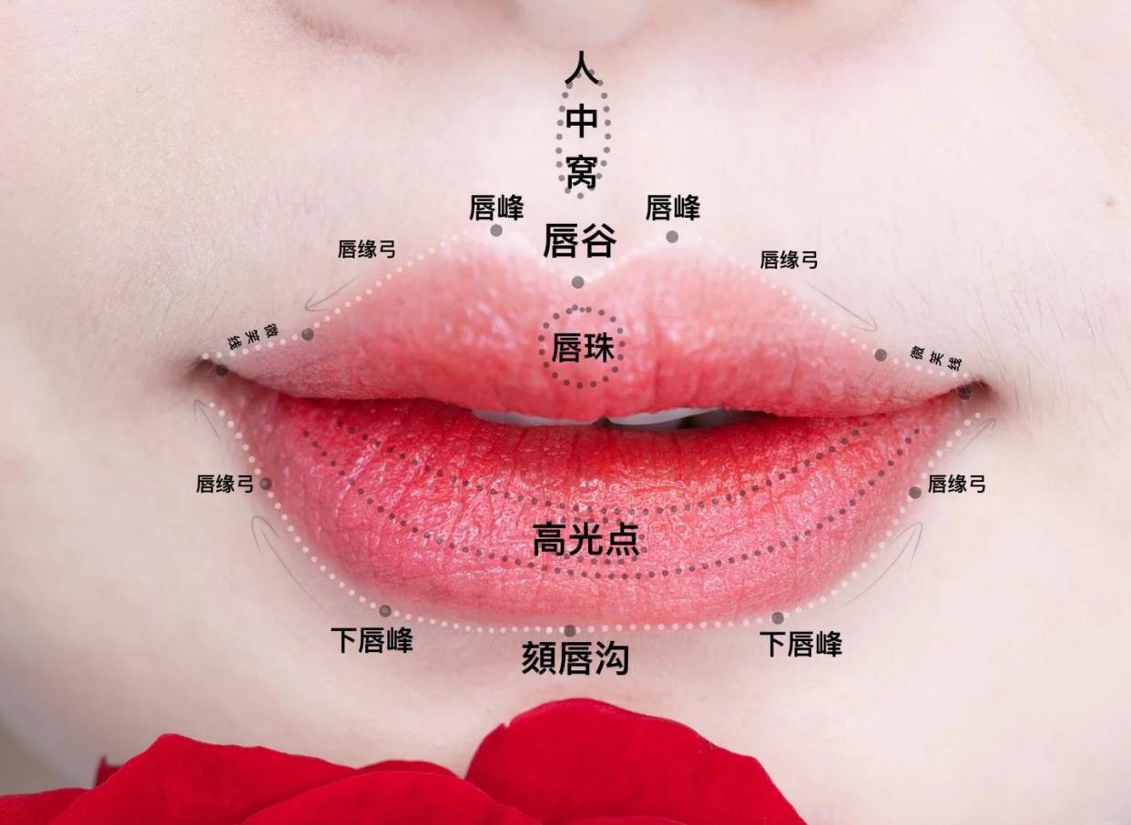唇部美学标准定点解析