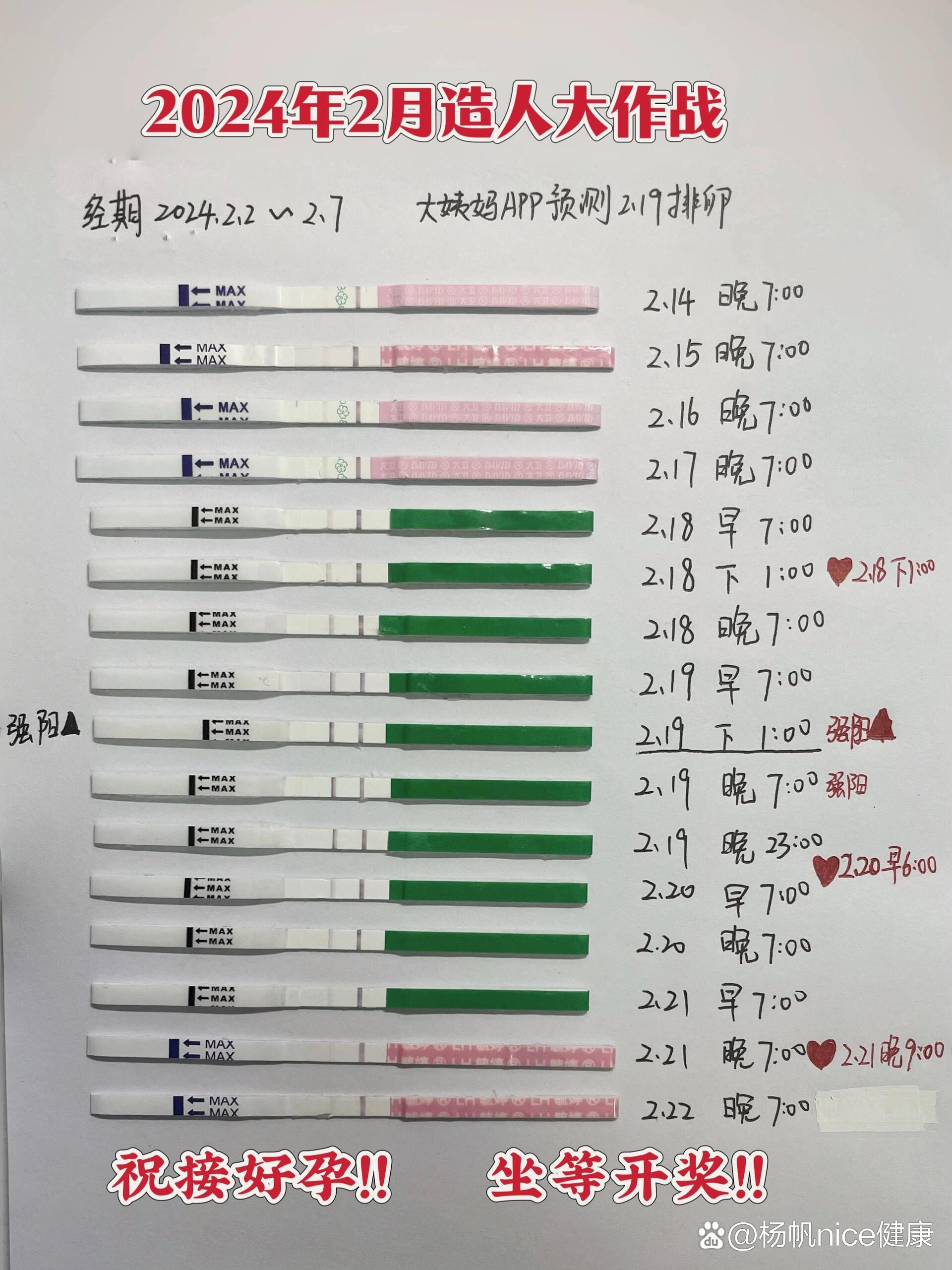 测试排卵试纸图解图片