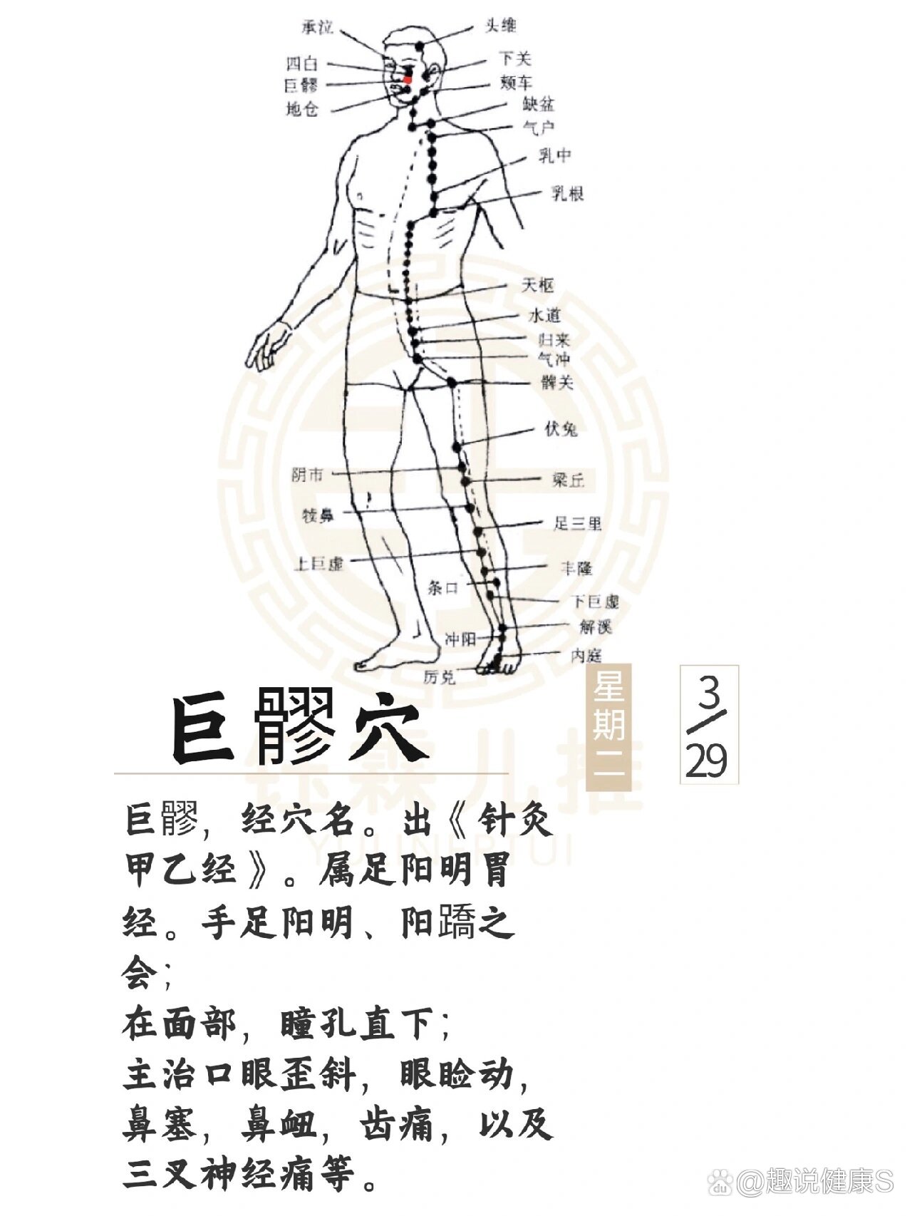 三叉神经痛的针灸图解图片