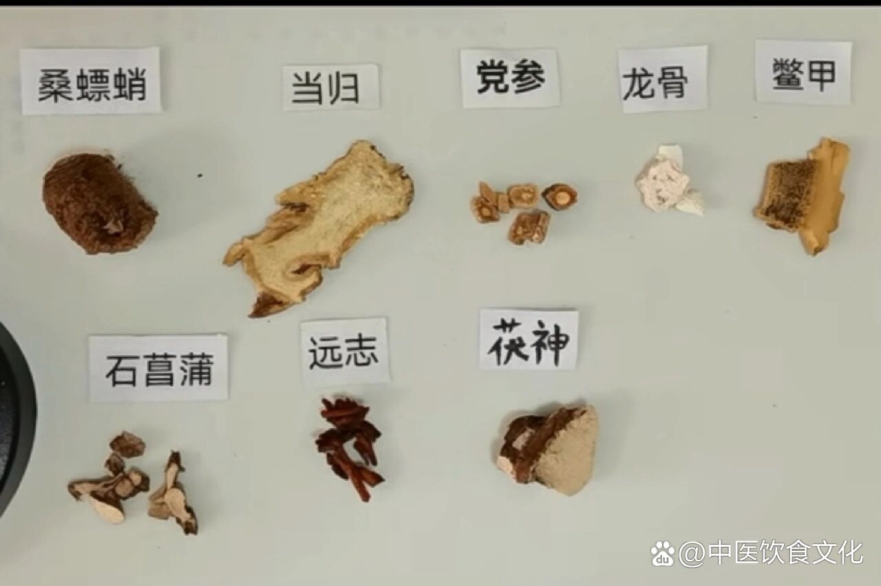 每日一方:桑螵蛸散✍🏻📖