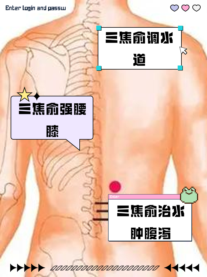 三焦俞的位置与作用和功效