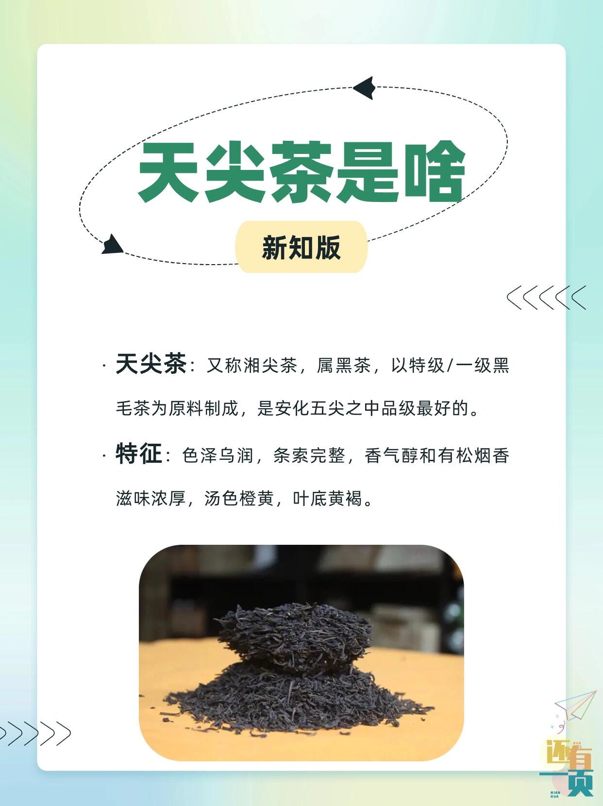 天尖茶价格及图片图片