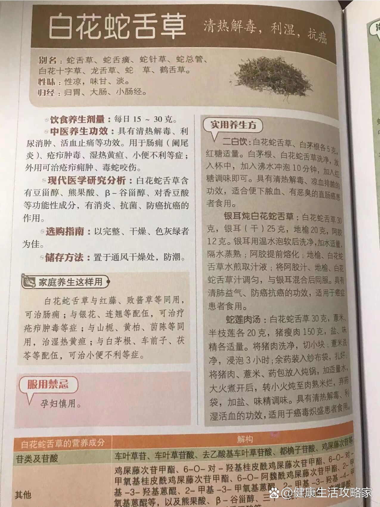 白花蛇舌草化学成分图片