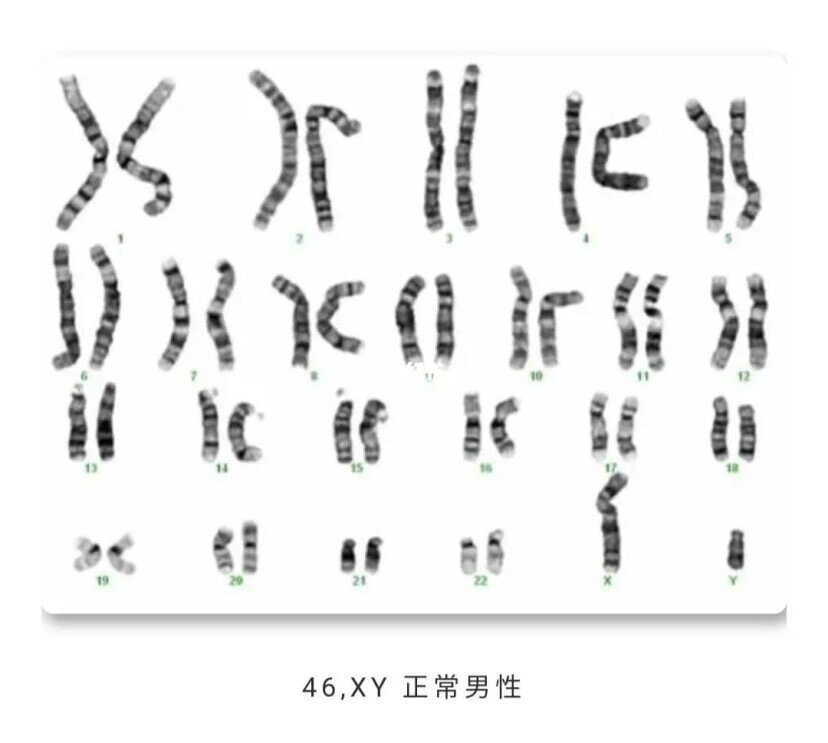 染色体的各个符号代表什么?