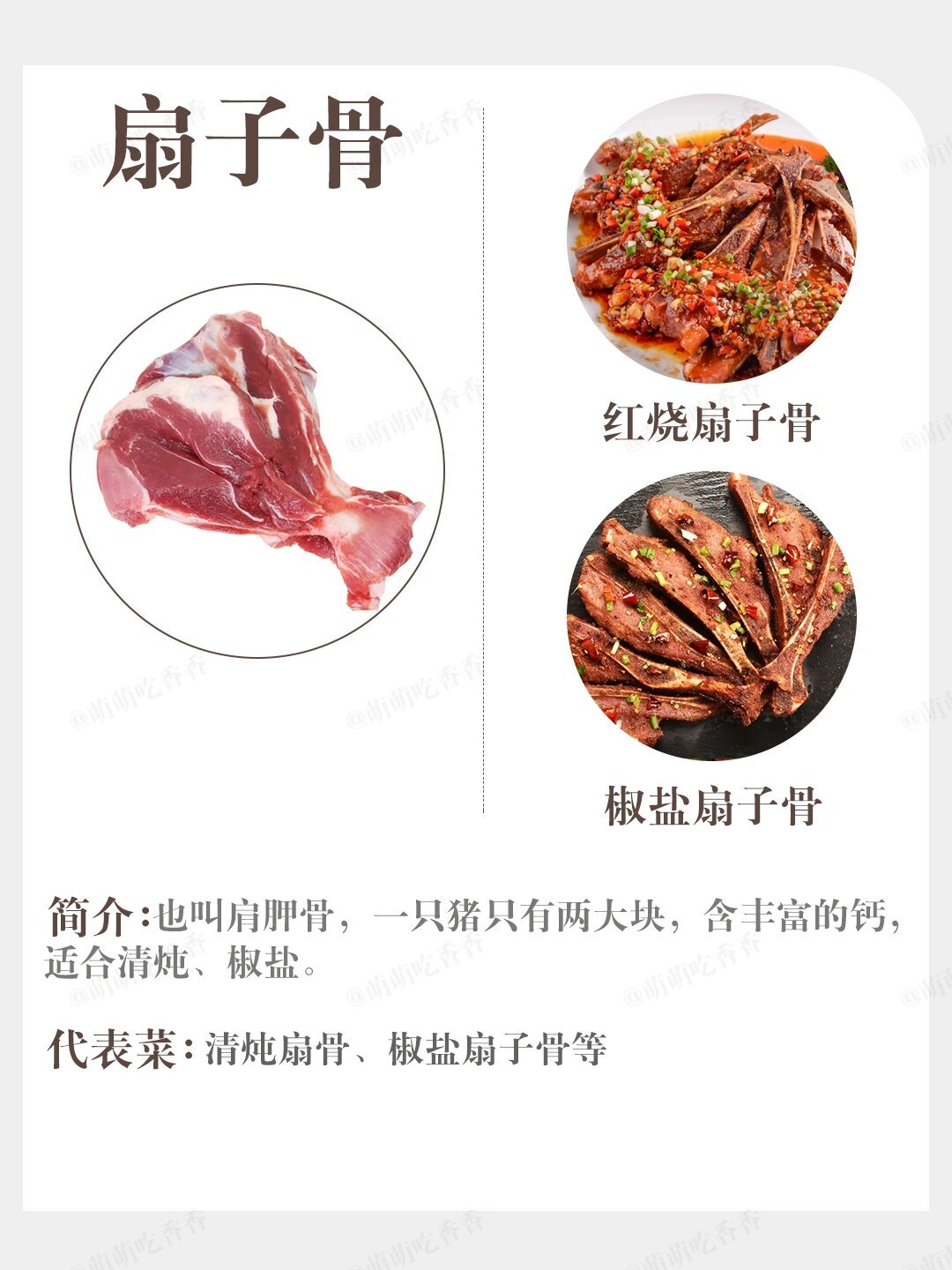 一张图认识常见猪骨的区别！