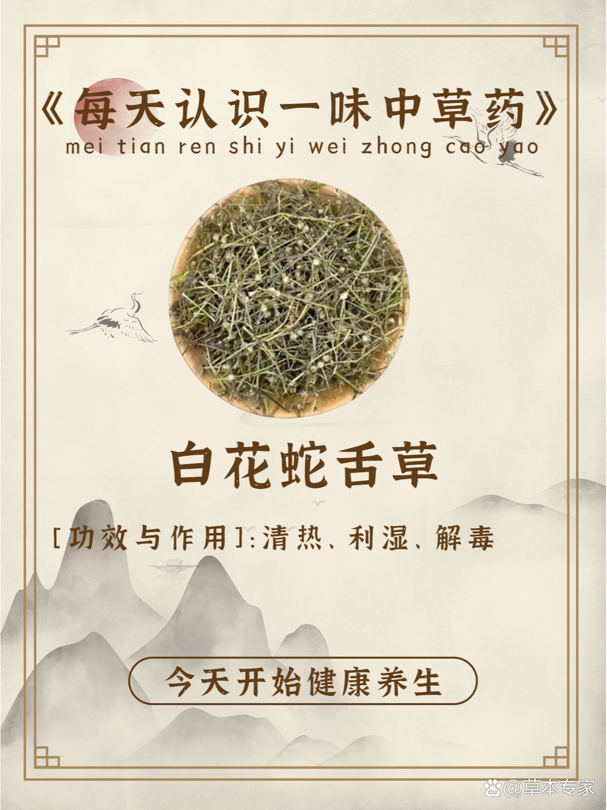 白花蛇舌草化学成分图片