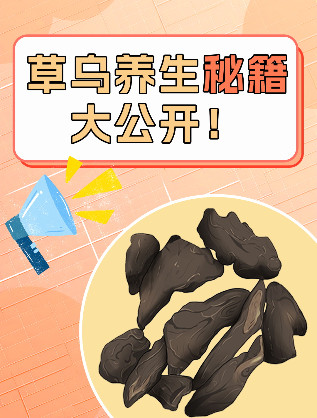 草乌,我的日常养生秘密武器