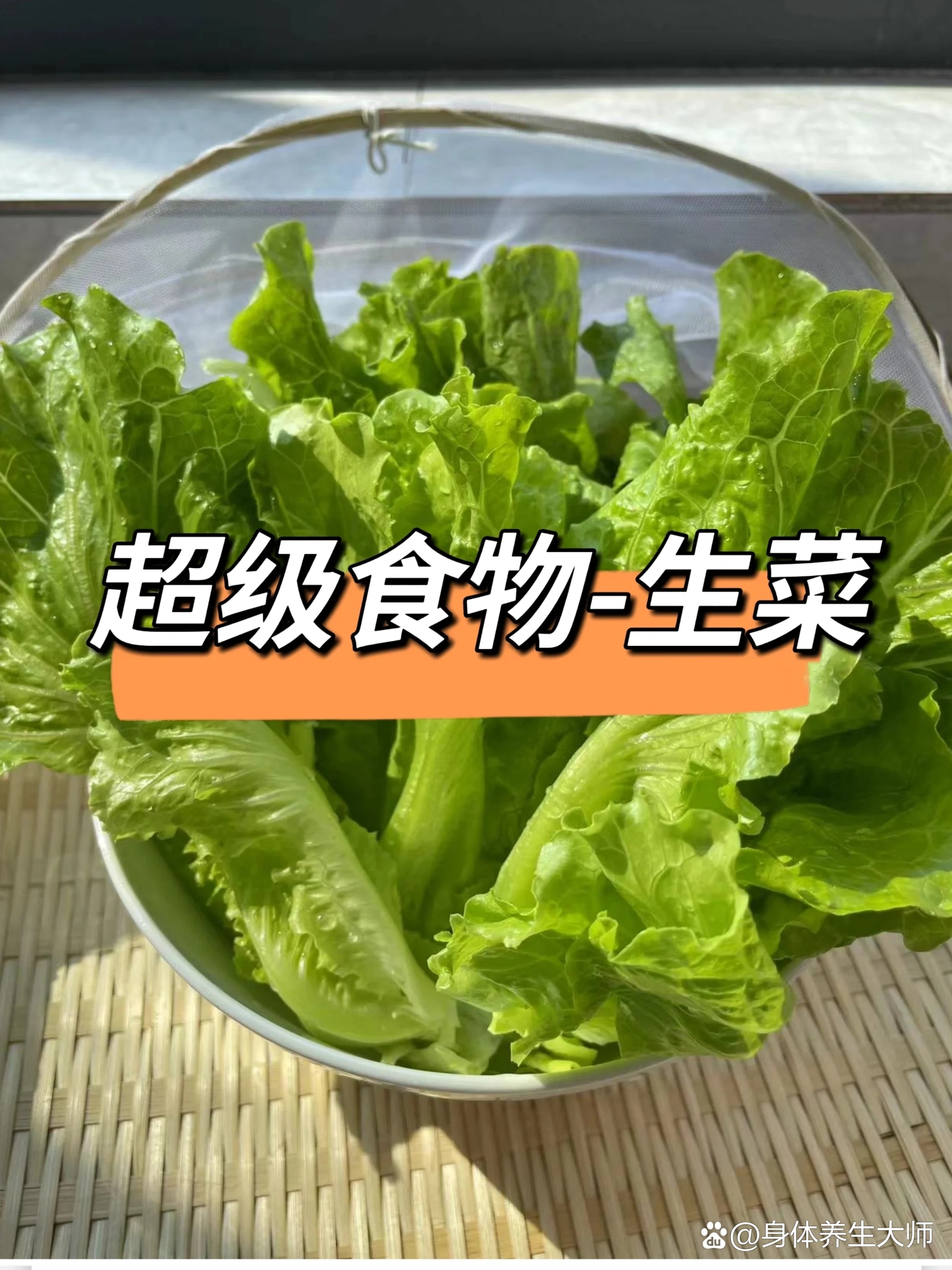 长生菜图片肝菜的图片图片