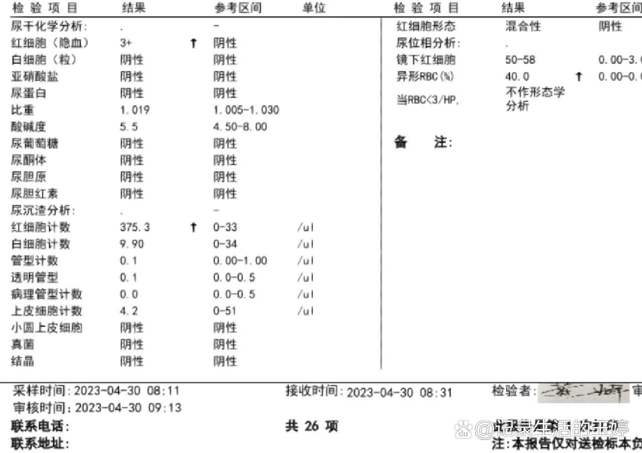 尿红细胞位相正常值图片