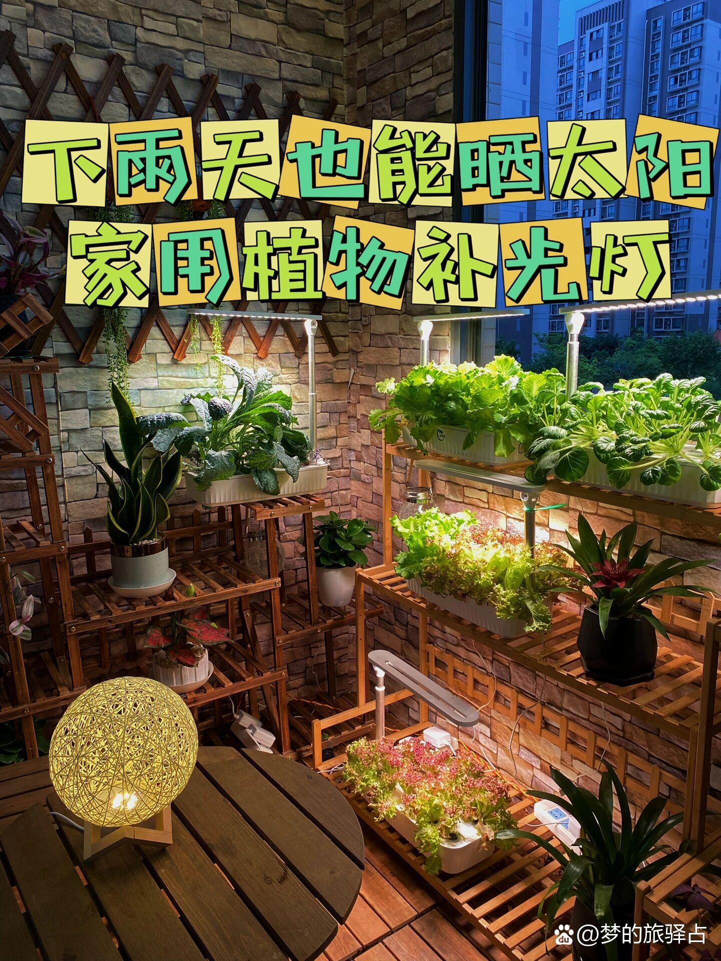 好想告诉全世界这个植物补光灯真的巨好用