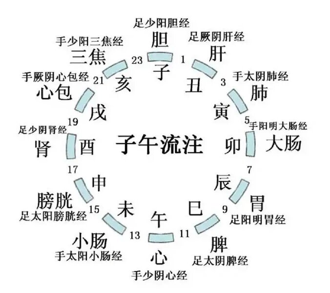 十二经络当令图片