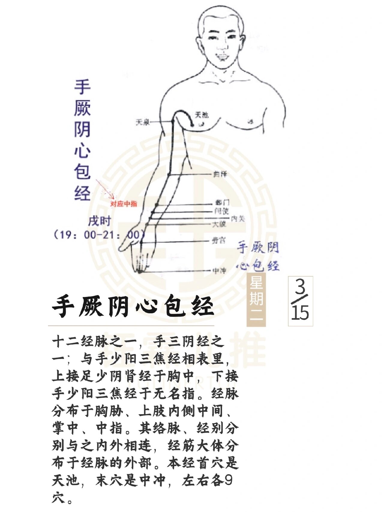 心包经走向经络图图片