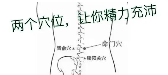 艾灸命门关元穴提升精力