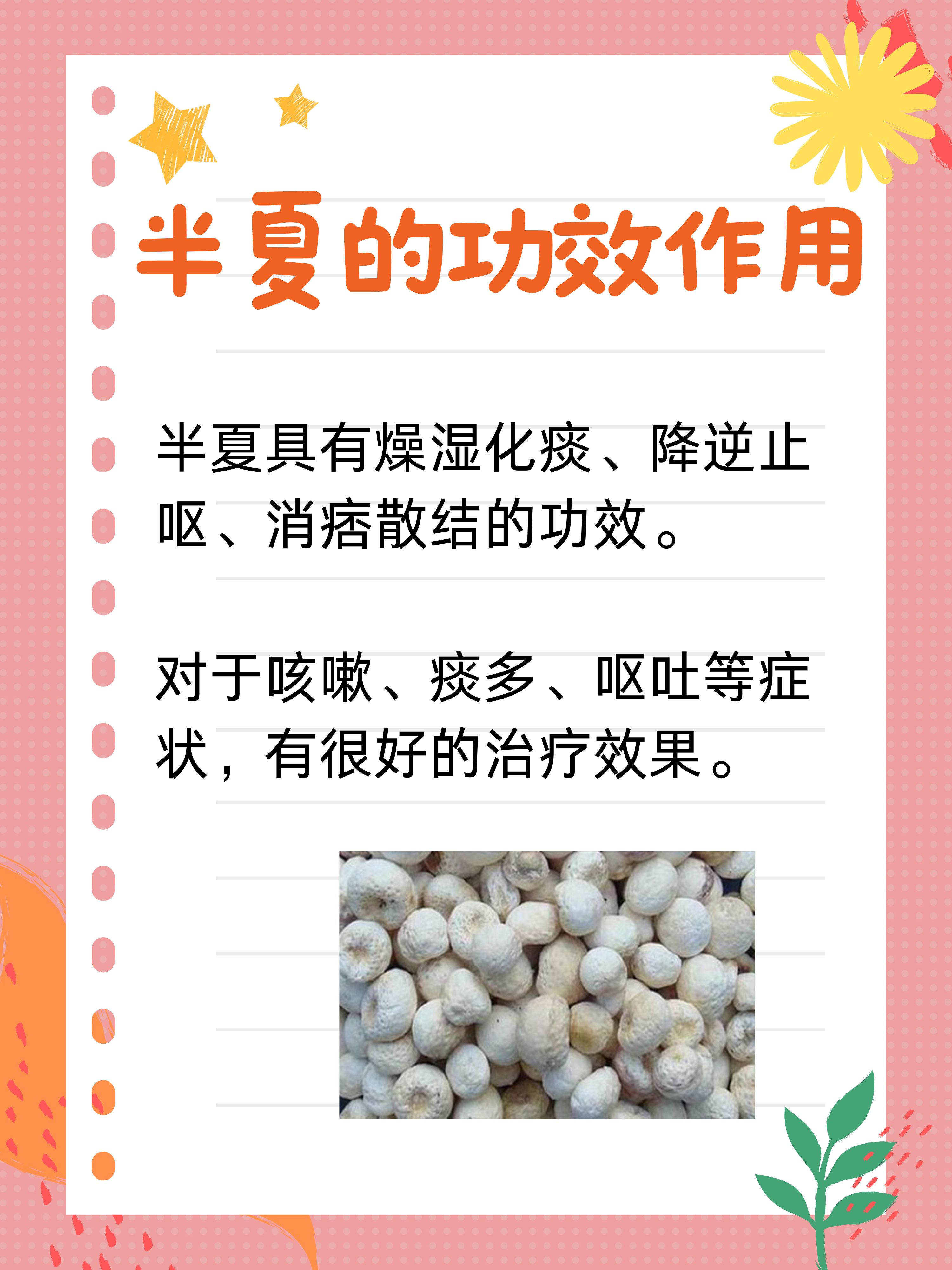半夏的功效与作用你了解吗?