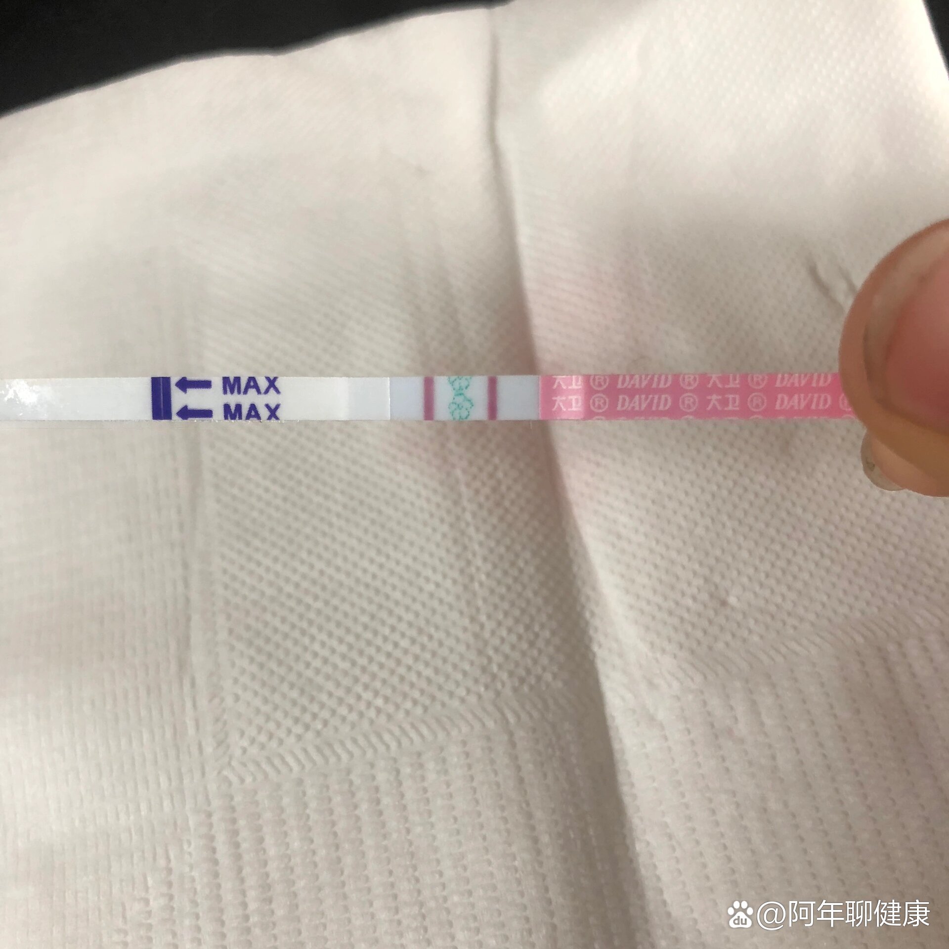 教科书版强阳排卵试纸