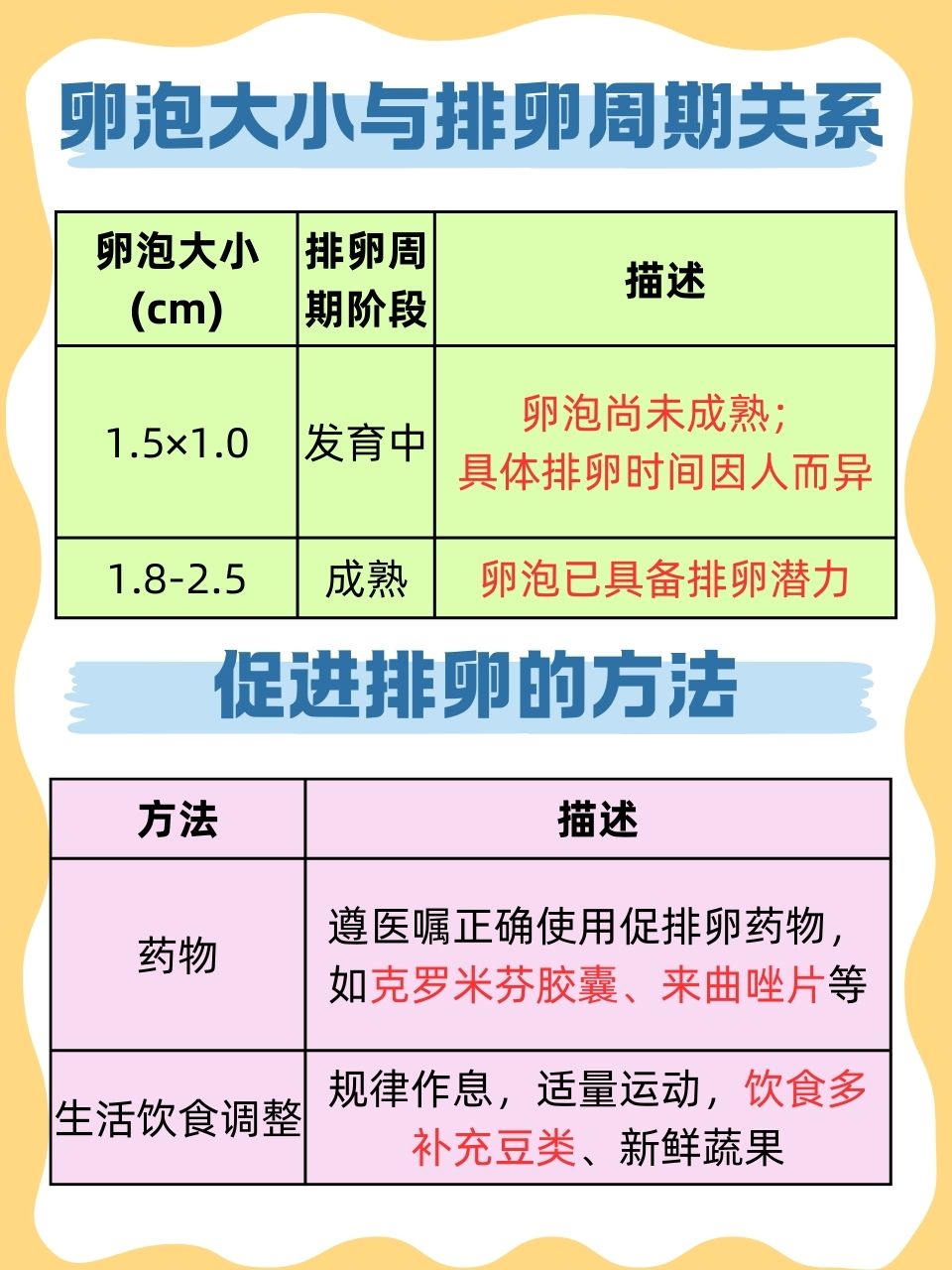 51.0,排卵何时来?备孕攻略分享