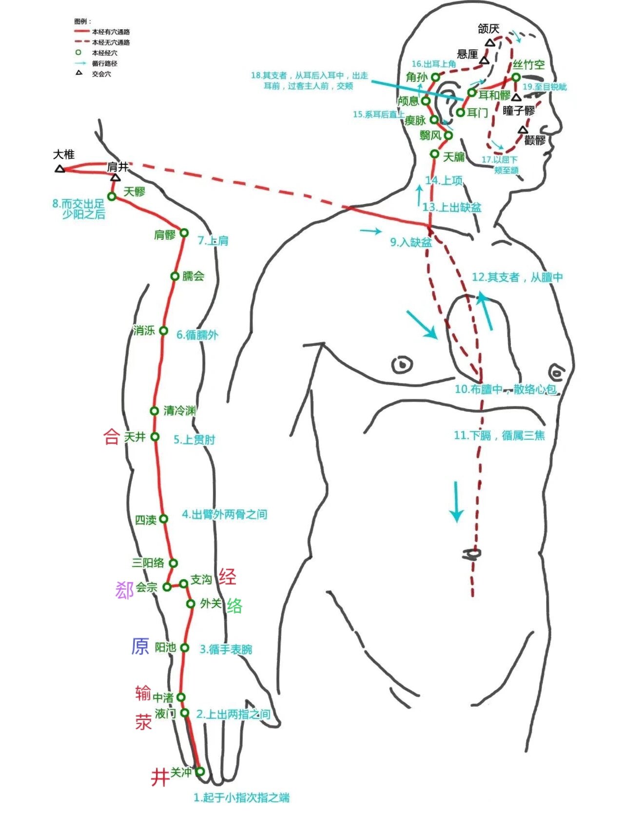 手少阳三焦经循行图解图片