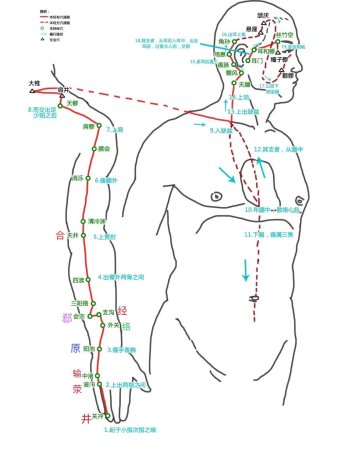 一图学经络(手少阳三焦经)