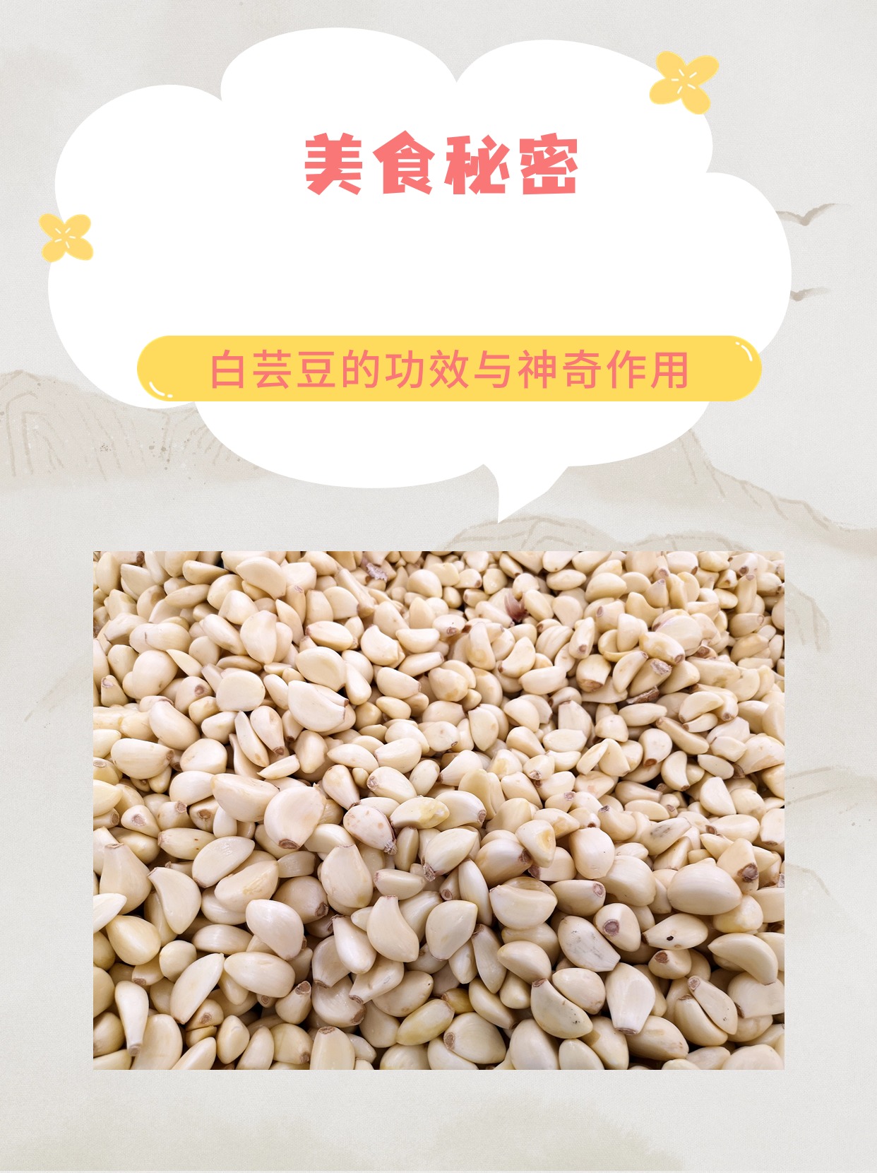 美食秘密:白芸豆的功效与神奇作用[加油]