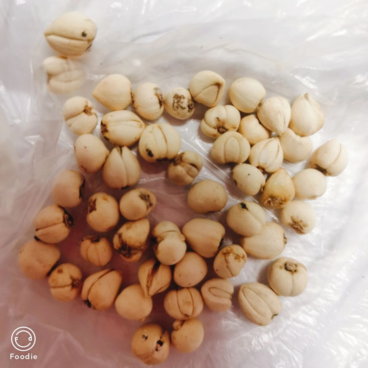 药店买了川贝母,93元10克,看价钱是真的,有没有懂行的帮忙看一下