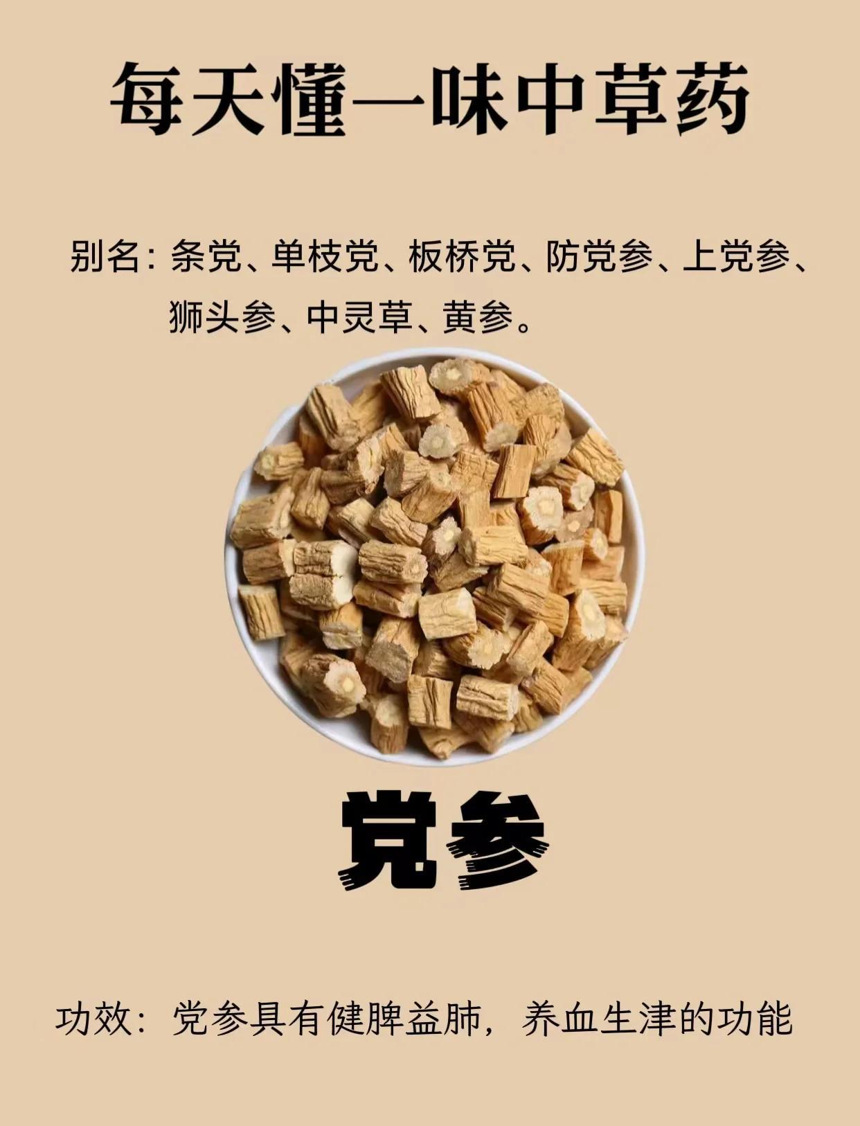 党参的中药知识与功效
