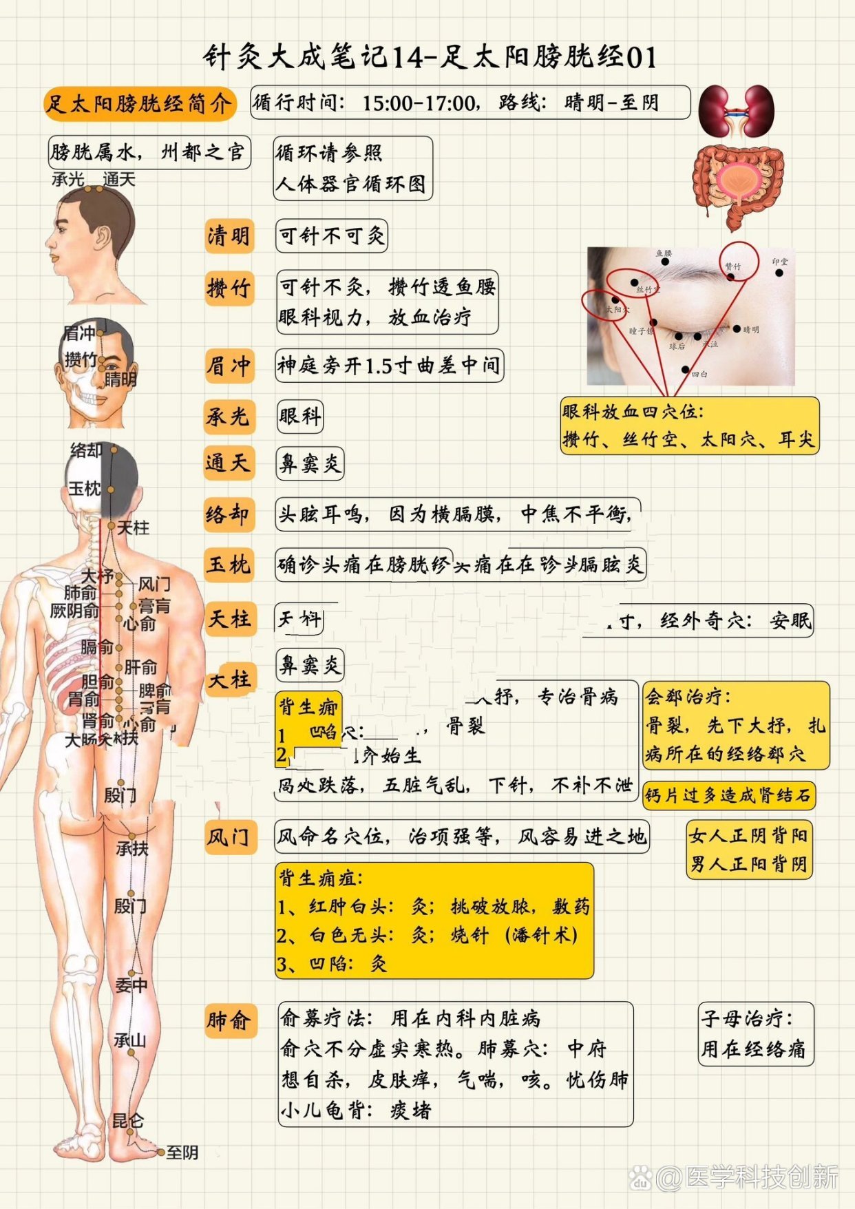 https://selfpage-gips.cdn.bcebos.com/aee0fb1ed491dc69af4f1ae2c517aab5.jpg
