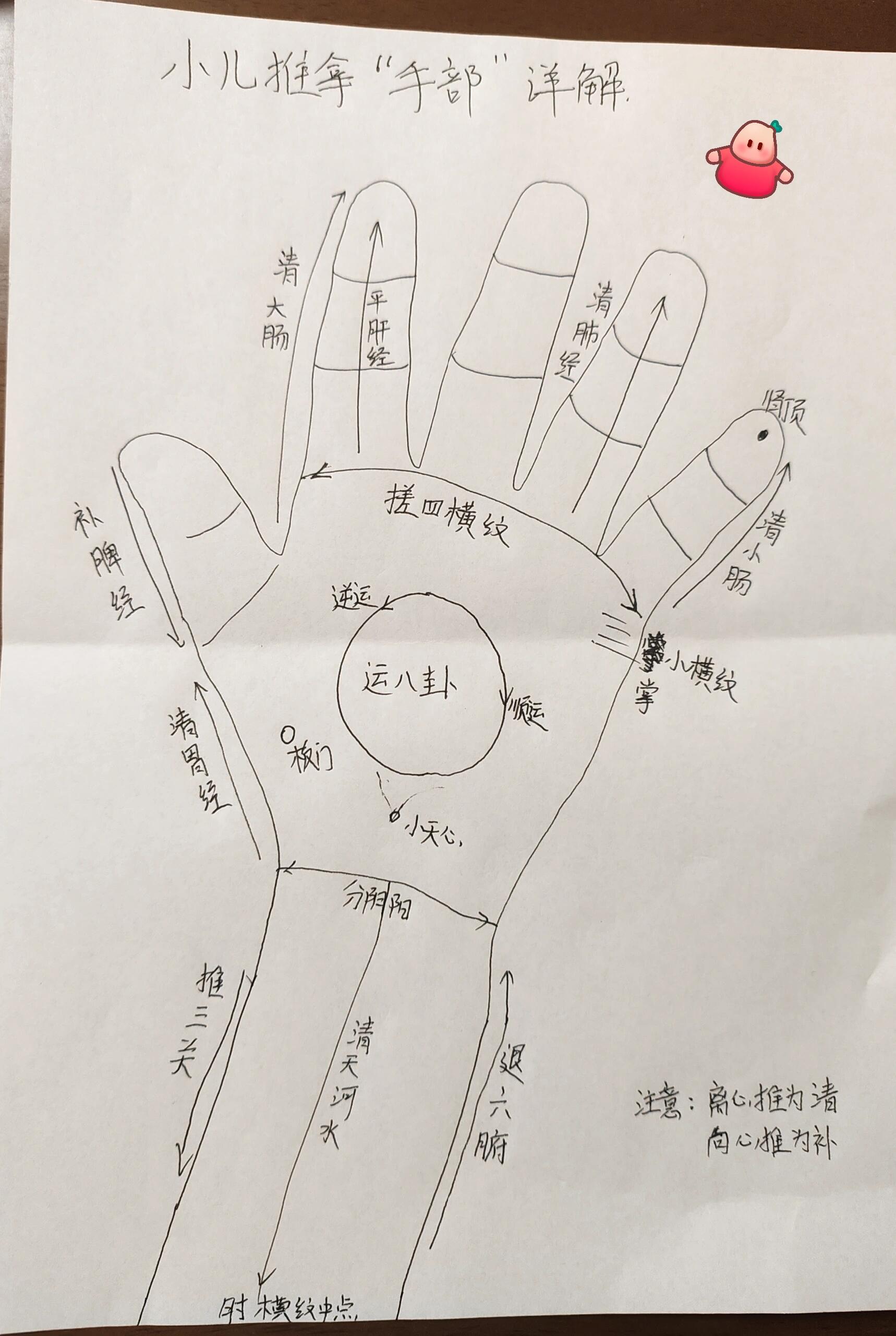 小儿手部推拿详解好多朋友发消息让画一张大图想学习的进