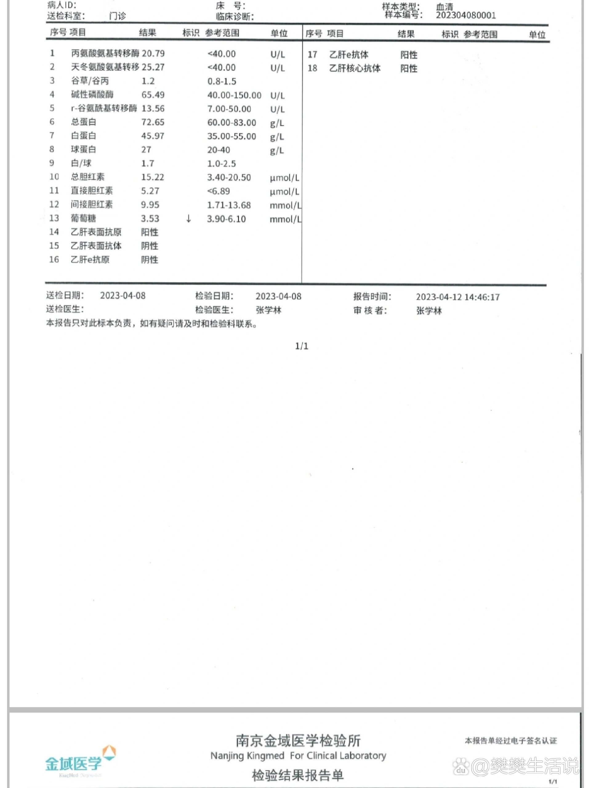 乙肝体检报告图片