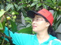 董燕敏