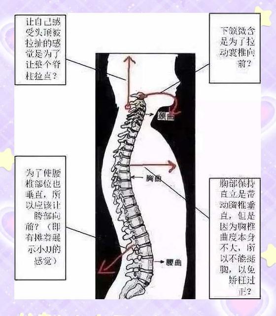 震动尾闾法：打通小周天的秘密武器