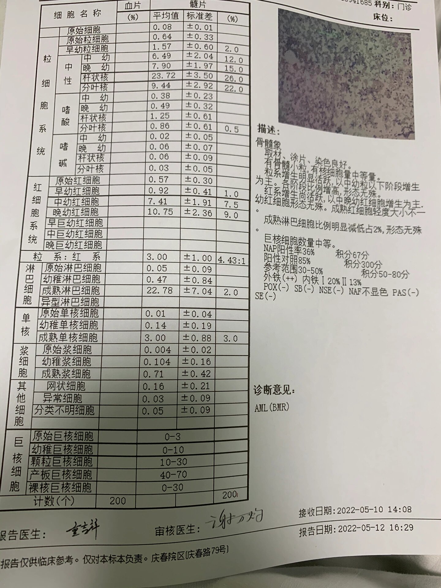 骨穿报告图片