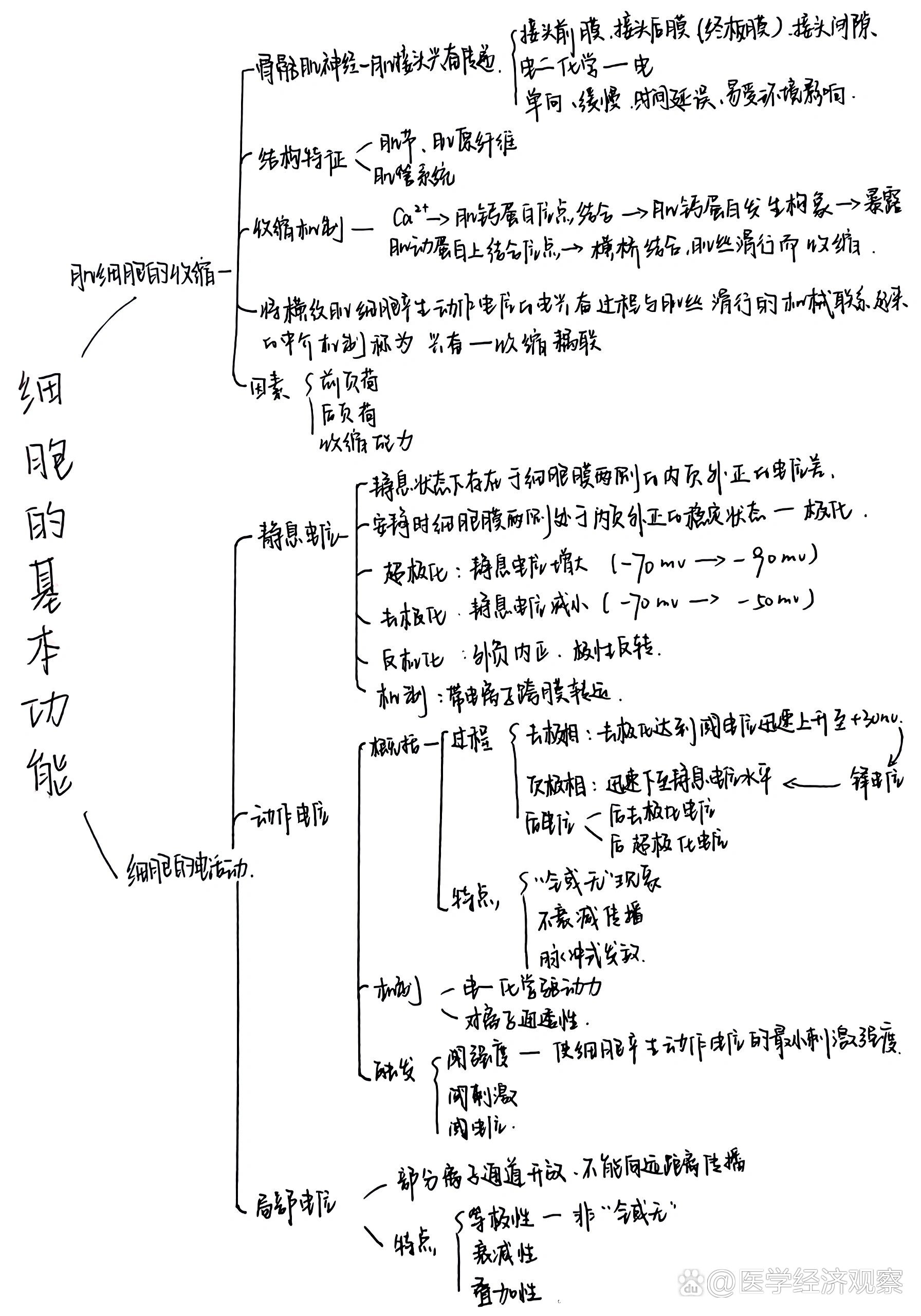 生理学第二章细胞的基本功能思维导图